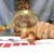 Reducing Inheritance Tax With a Trust